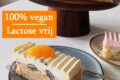 Vegan gebakje Tropisch (Lactose vrij)